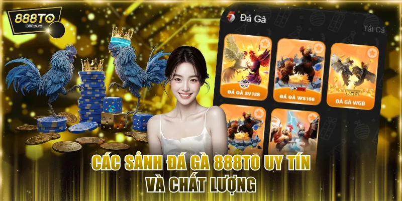 Các sảnh đá gà 888TO uy tín và chất lượng