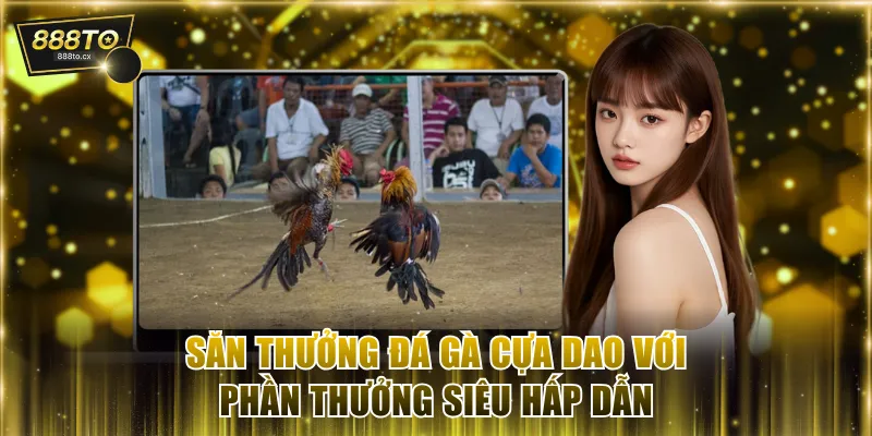Đá gà cựa dao 888TO