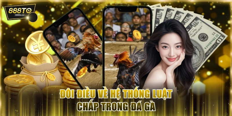 Đôi điều về hệ thống luật chấp trong đá gà