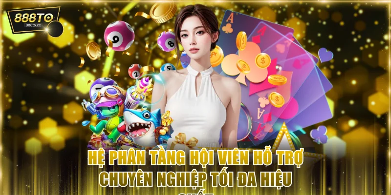 Hệ phân tầng hội viên hỗ trợ chuyên nghiệp tối đa hiệu suất