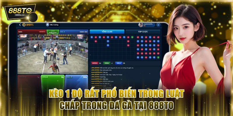 Kèo 1 độ rất phổ biến trong luật chấp trong đá gà tại 888to