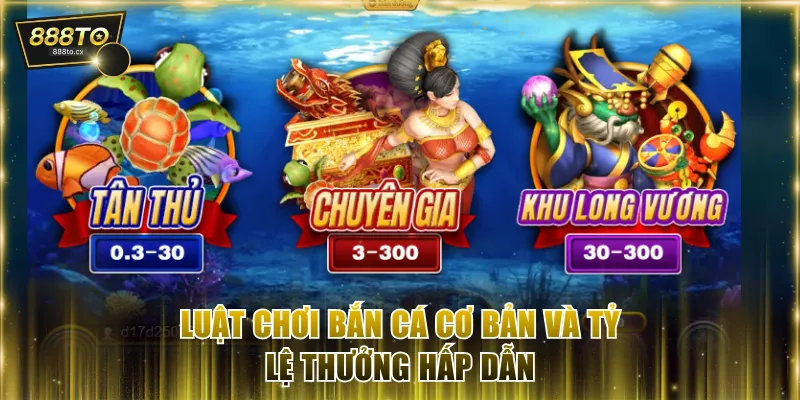 Luật chơi trò chơi cơ bản và tỷ lệ thưởng hấp dẫn