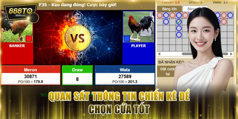 Quan sát thông tin chiến kê để chọn cửa tốt