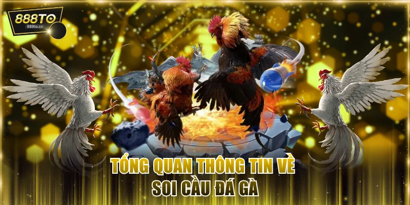 Tổng quan thông tin về soi cầu đá gà