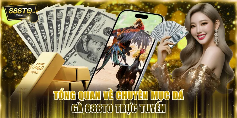 Tổng quan về chuyên mục đá gà 888TO trực tuyến